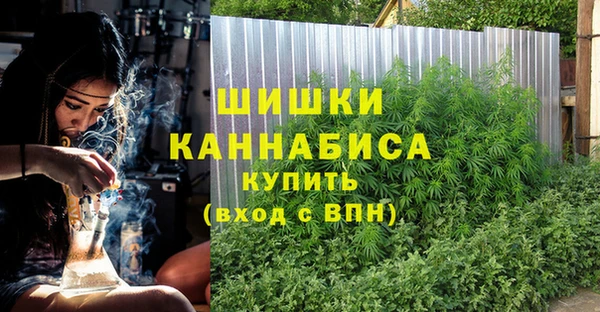 амф Струнино