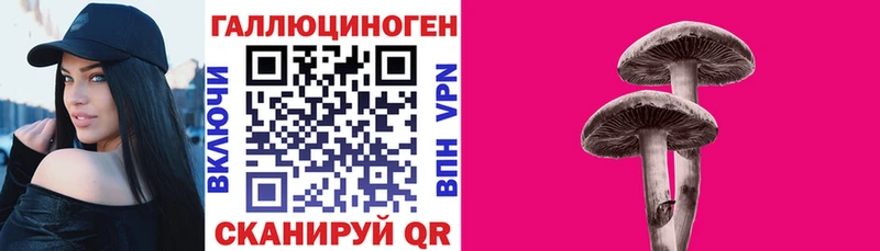 Псилоцибиновые грибы мицелий  Благодарный 