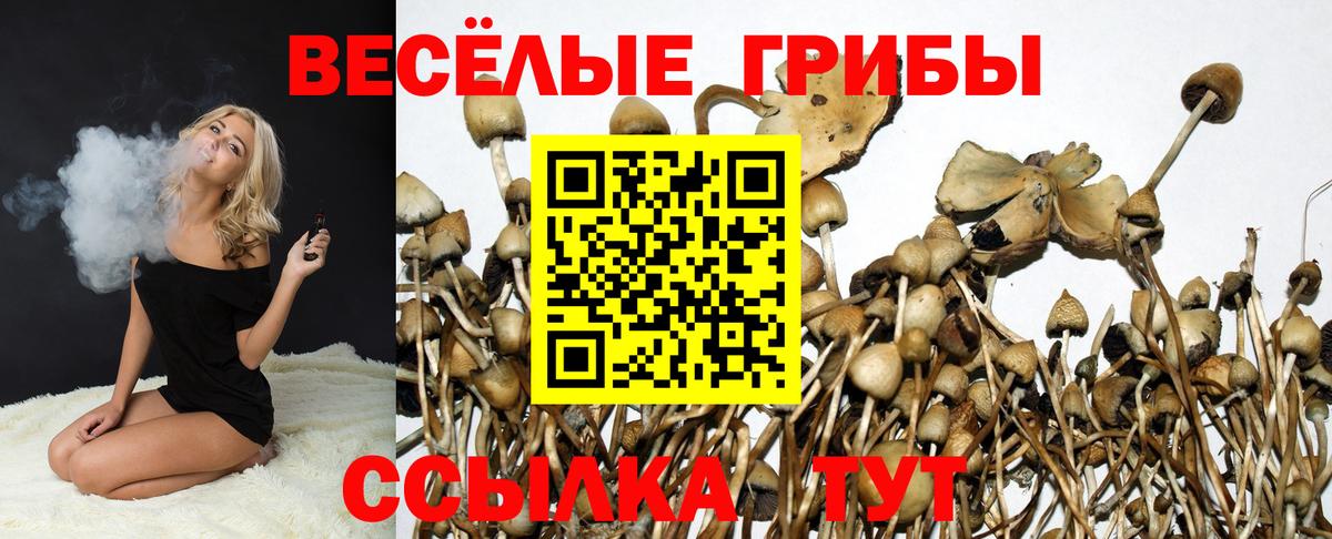 Псилоцибиновые грибы Magic Shrooms Благодарный