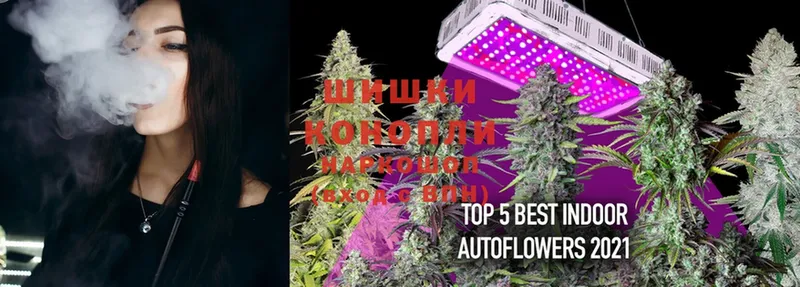 Конопля LSD WEED  гидра зеркало  Благодарный  сколько стоит 